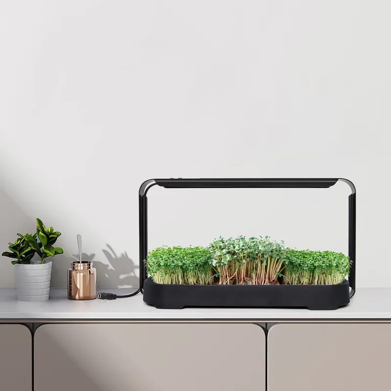 Self-Watering Planter - Sistema de Cultivo Hidropônico com Autoirrigação