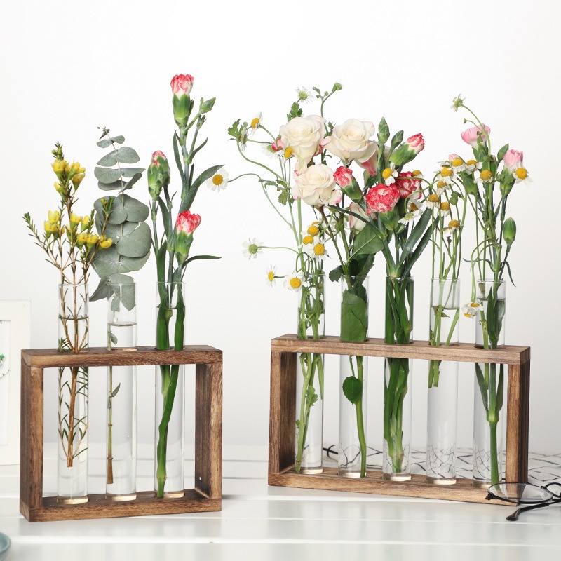 Self-Watering Planter - Plantador hidropônico de vidro de 5