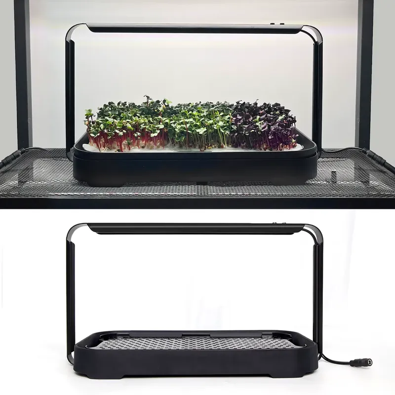 Sistema de Cultivo Hidropônico - Self-Watering Planter avaliação e preço