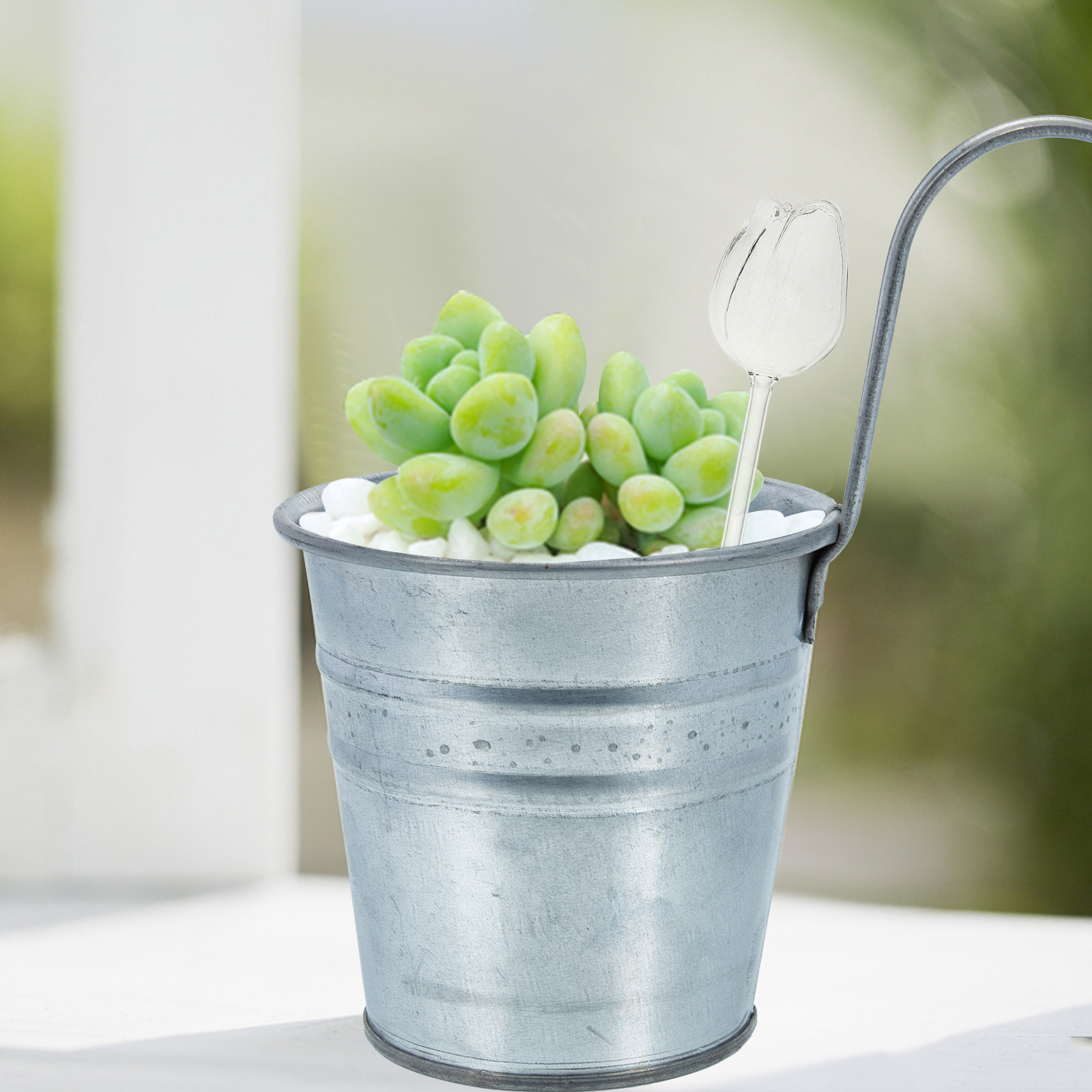 2 unidades de globos de rega e - Self-Watering Planter avaliação e preço