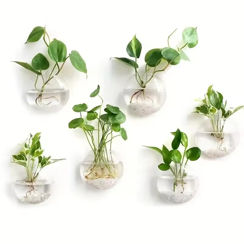 Pacote com 2/4/6 Terrários de  - Self-Watering Planter avaliação e preço