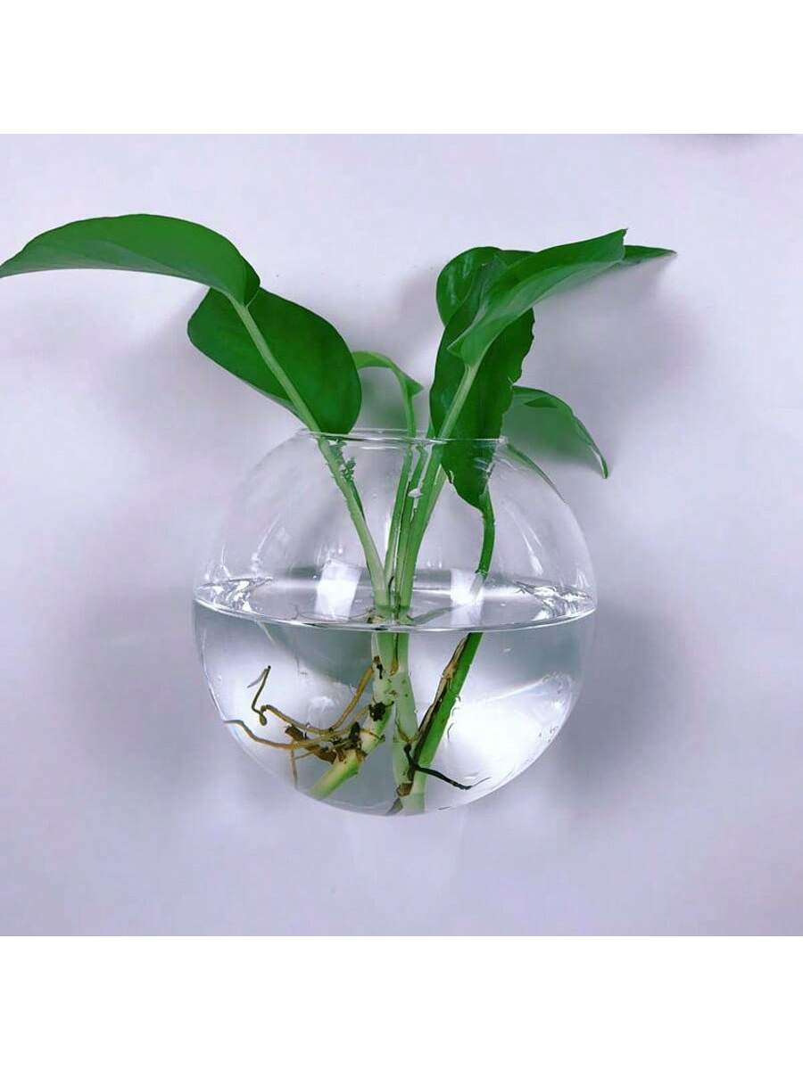 Pacote com 2/4/6 Terrários de  - Self-Watering Planter avaliação e preço