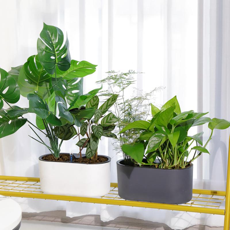 Planta de interior com indicad - Automatic Plant Waterer avaliação e preço