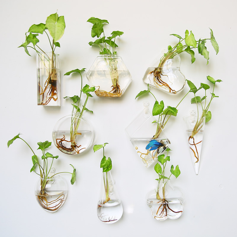 Terrário de vidro para pendura - Self-Watering Planter avaliação e preço