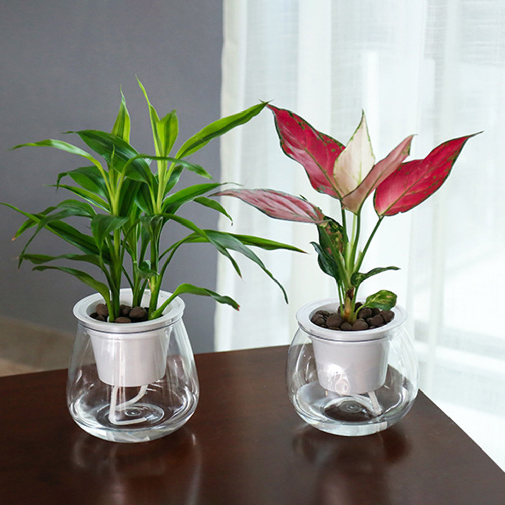 Transparente auto-rega planta  - Self-Watering Planter avaliação e preço